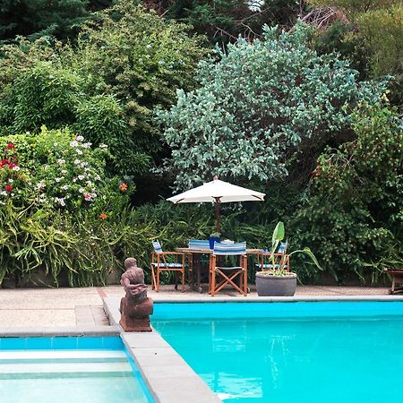 Seahurst Apartment Eskdale Luaran gambar